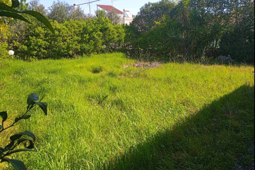 Screenshot_20240106_190913_Viber